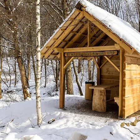 Гостевой дом Bialy Dom W