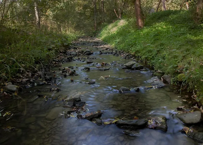 Biały Dom W Pensjonat 3*