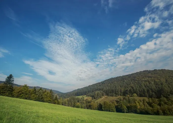 Pensjonat Biały Dom W 3*